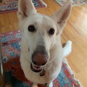 Meet your Posher, Ruth